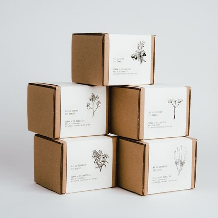 Box Sleeves 2
